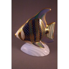Royal Crown Derby Tropical Fish - Angel Fish Paperweight
